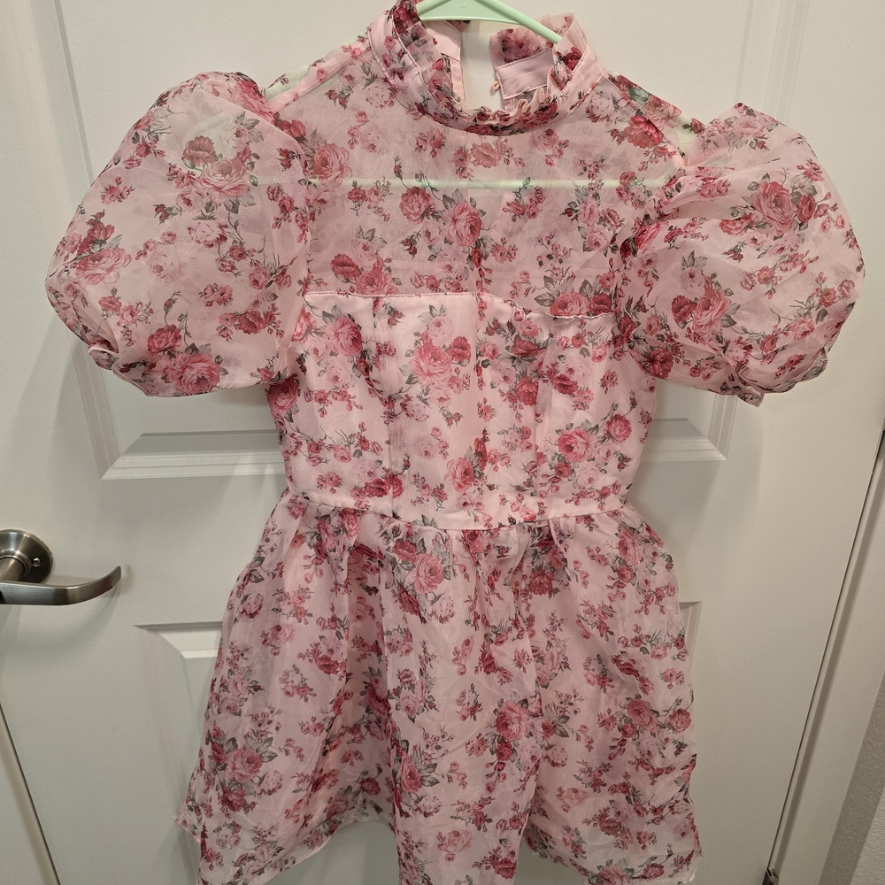 Floral Pink Puff Sleeve Dress